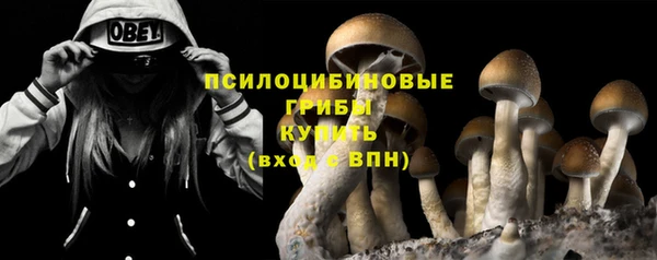 apvp Абдулино
